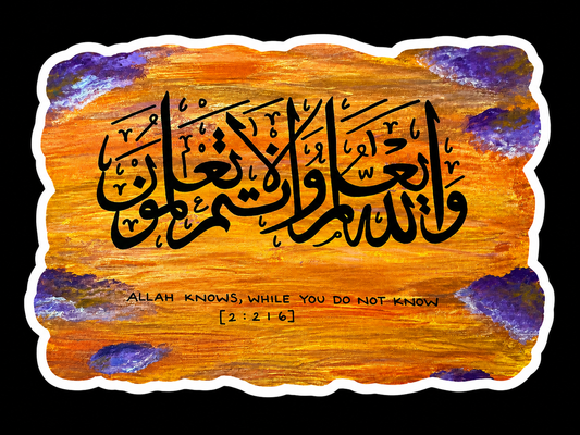 Allah Knows Sticker